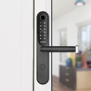 khoa-cua-dien-tu-hafele-el6500-tcs