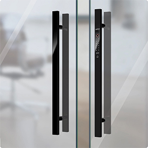 khoa-cua-dien-tu-hafele-eh6000