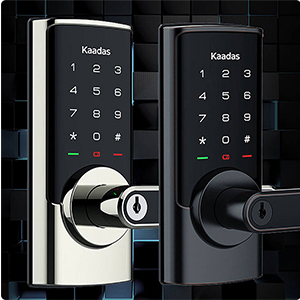 khoa-cua-thong-minh-kaadas-rx-d