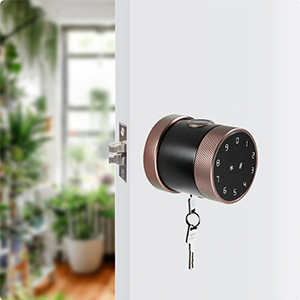 khoa-cua-dien-tu-phglock-fp8193