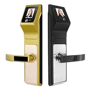 khoa-cua-thong-minh-viro-vr-f10