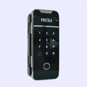 khoa-cua-thong-minh-phglock-fg6001