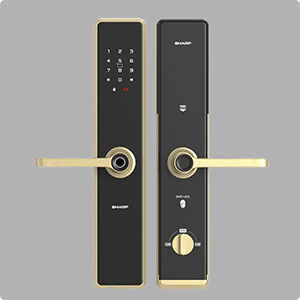 khoa-cua-dien-tu-a1-b