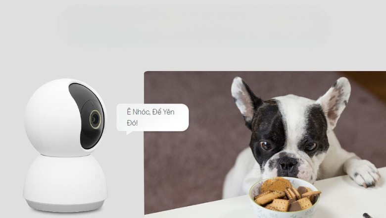 Trò chuyện sinh động ngay trên ứng dụng điện thoại